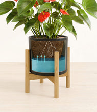 Load image into Gallery viewer, Black stand:bamboo