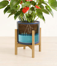 Load image into Gallery viewer, Deep Navy stand:bamboo