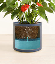 Load image into Gallery viewer, Deep Navy