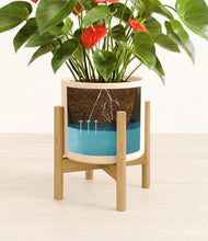 Load image into Gallery viewer, Cream stand:bamboo