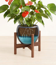 Load image into Gallery viewer, Deep Navy stand:walnut