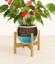 Load image into Gallery viewer, Shiny EggWhite stand:bamboo