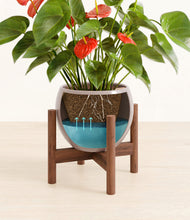 Load image into Gallery viewer, Winter Clouds stand:walnut