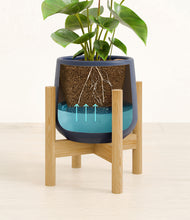 Load image into Gallery viewer, Deep Navy stand:bamboo