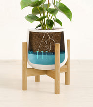 Load image into Gallery viewer, White stand:bamboo