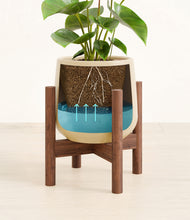 Load image into Gallery viewer, Almond Green stand:bamboo