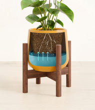 Load image into Gallery viewer, Mustard stand:bamboo