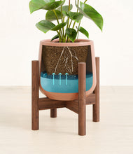 Load image into Gallery viewer, Calm Rose stand:bamboo