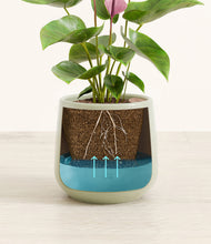 Load image into Gallery viewer, Turquoise