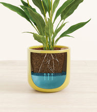 Load image into Gallery viewer, Key Lime Yellow