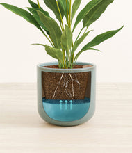 Load image into Gallery viewer, Reactive Aqua