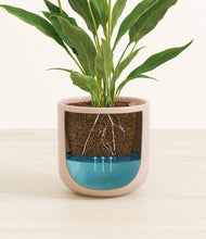 Load image into Gallery viewer, Sandy Pink