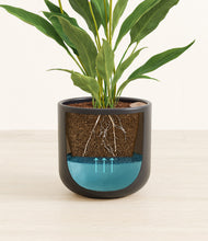 Load image into Gallery viewer, Stone Black