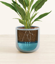 Load image into Gallery viewer, Misty Blue