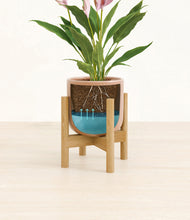Load image into Gallery viewer, Striped Peach Pink stand:bamboo