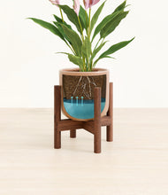 Load image into Gallery viewer, Striped Peach Pink stand:walnut