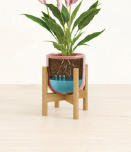 Load image into Gallery viewer, Hammered Rose Pink stand:bamboo