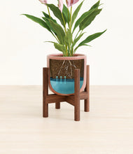 Load image into Gallery viewer, Striped Rose Pink stand:walnut