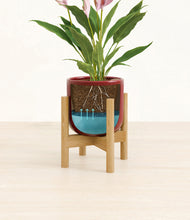 Load image into Gallery viewer, Striped Cherry Red stand:bamboo