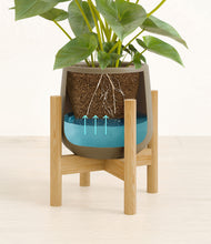 Load image into Gallery viewer, Olive stand:bamboo