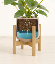 Load image into Gallery viewer, Eternal Gray stand:bamboo