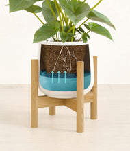 Load image into Gallery viewer, White stand:bamboo