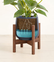 Load image into Gallery viewer, Deep Navy stand:walnut