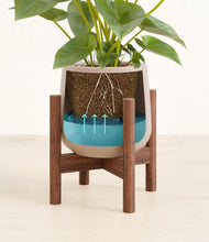 Load image into Gallery viewer, Eternal Gray stand:walnut