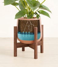 Load image into Gallery viewer, Calm Rose stand:walnut