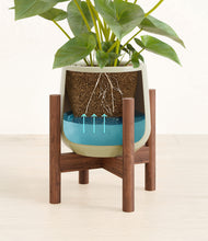 Load image into Gallery viewer, Turquoise stand:walnut