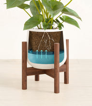 Load image into Gallery viewer, White stand:walnut