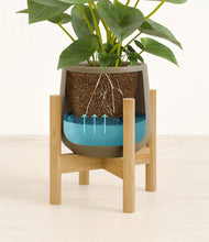 Load image into Gallery viewer, Olive stand:bamboo