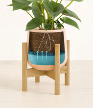 Load image into Gallery viewer, Gentle Pink stand:bamboo