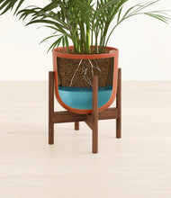 Load image into Gallery viewer, Earth Red stand:walnut