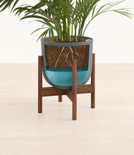 Load image into Gallery viewer, Iron Gray stand:walnut