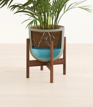 Load image into Gallery viewer, Sage Green stand:walnut