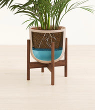 Load image into Gallery viewer, Sandy Pink stand:walnut