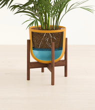 Load image into Gallery viewer, Sunset Orange stand:walnut