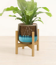 Load image into Gallery viewer, Olive stand:bamboo