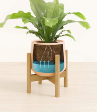 Load image into Gallery viewer, Gentle Pink stand:bamboo