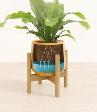 Load image into Gallery viewer, Mustard stand:bamboo