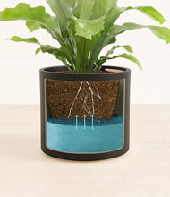 Load image into Gallery viewer, Black