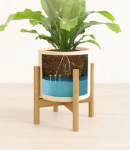 Load image into Gallery viewer, Cream stand:bamboo