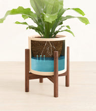 Load image into Gallery viewer, Cream stand:walnut