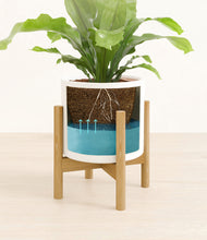 Load image into Gallery viewer, White stand:bamboo