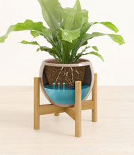 Load image into Gallery viewer, Desert Brown stand:bamboo