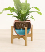 Load image into Gallery viewer, Calm Rose stand:bamboo