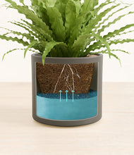 Load image into Gallery viewer, Dark Olive stand:all