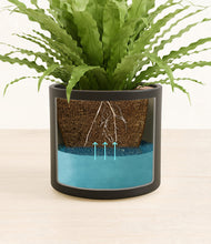 Load image into Gallery viewer, Black stand:all