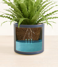 Load image into Gallery viewer, Deep Navy stand:all